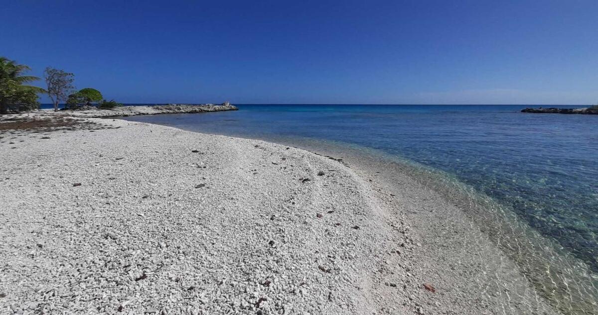 Moana Breeze Rangiroa - Rental Car Included - Air Conditioning - Wi-Fi Tiputa Chambre photo