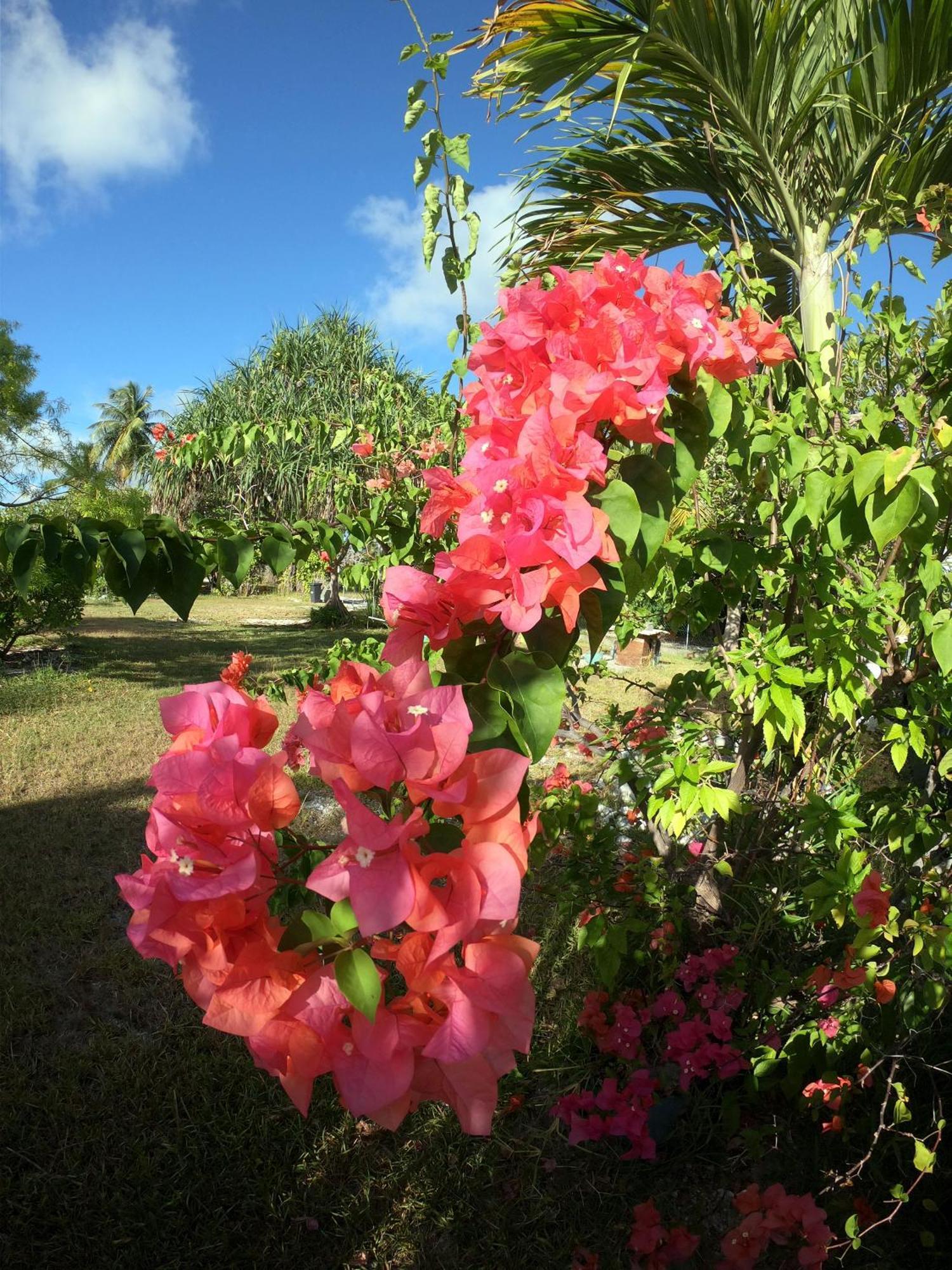 Moana Breeze Rangiroa - Rental Car Included - Air Conditioning - Wi-Fi Tiputa Extérieur photo
